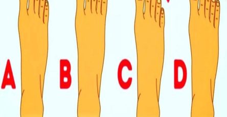 644340263 122208427760534299 2271179237443244595 n