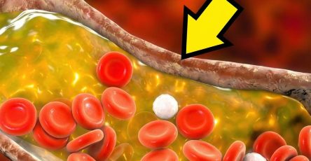 644992560 1336886225138489 981329713133032487 n