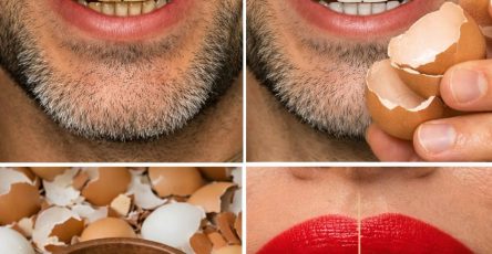 645422294 122122806801057276 1793616918652910284 n