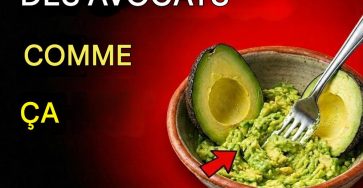 646166480 1484899876362040 1988467869714337905 n