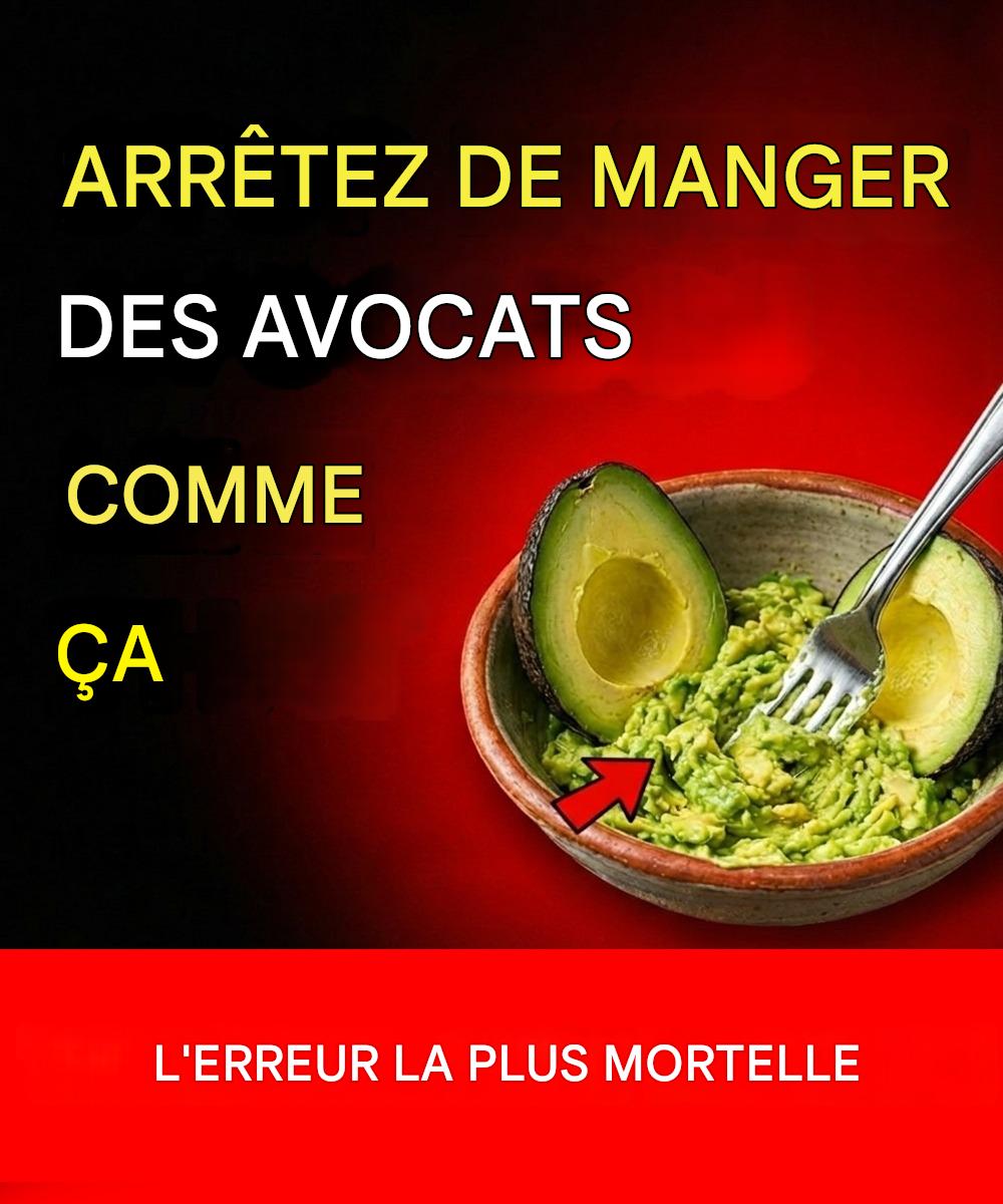 646166480 1484899876362040 1988467869714337905 n