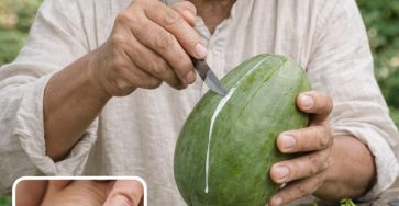 646359366 122122901841057276 3092691684923696268 n