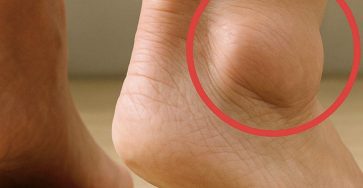 646848597 1485994456252582 581364014888080010 n