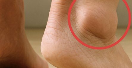 646848597 1485994456252582 581364014888080010 n