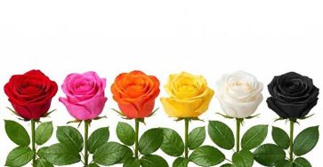 647129418 1487115446140483 2831809624692988318 n