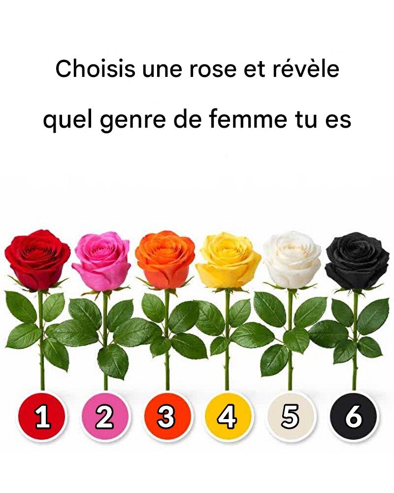 647129418 1487115446140483 2831809624692988318 n