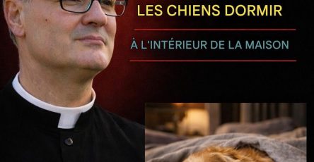 650593708 1493756545476373 2215903266229115233 n