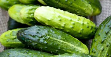 651419905 1491766952341999 6882716479219176589 n