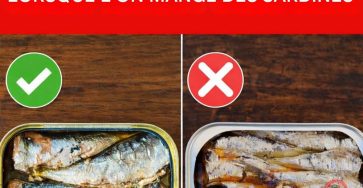 651905589 1492518755600152 5047782707547892577 n