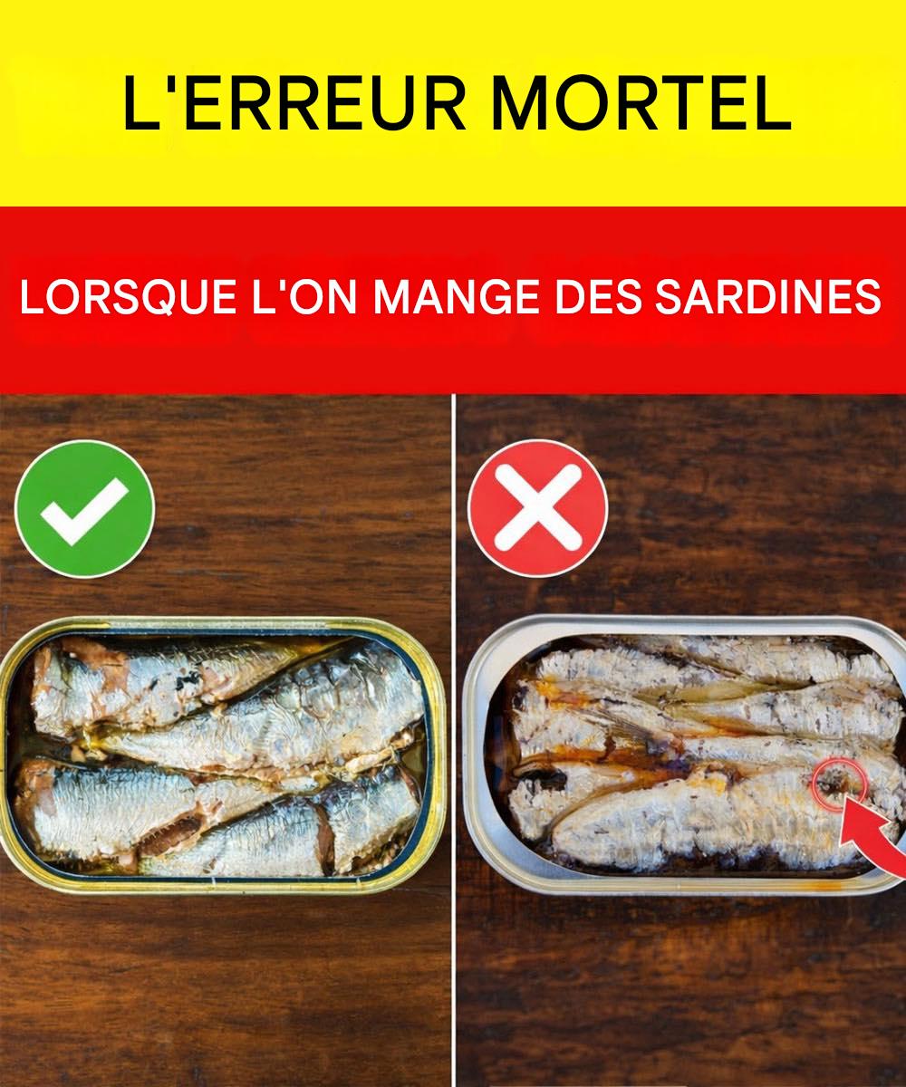 651905589 1492518755600152 5047782707547892577 n