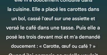 652544516 1494112002107494 7963146222894764140 n