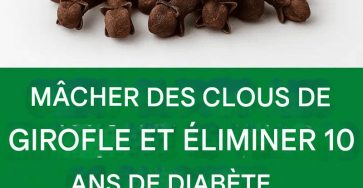 653711624 122105239755042171 2478289009658199878 n (1)