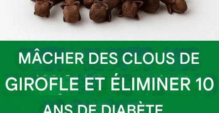 653711624 122105239755042171 2478289009658199878 n (1)