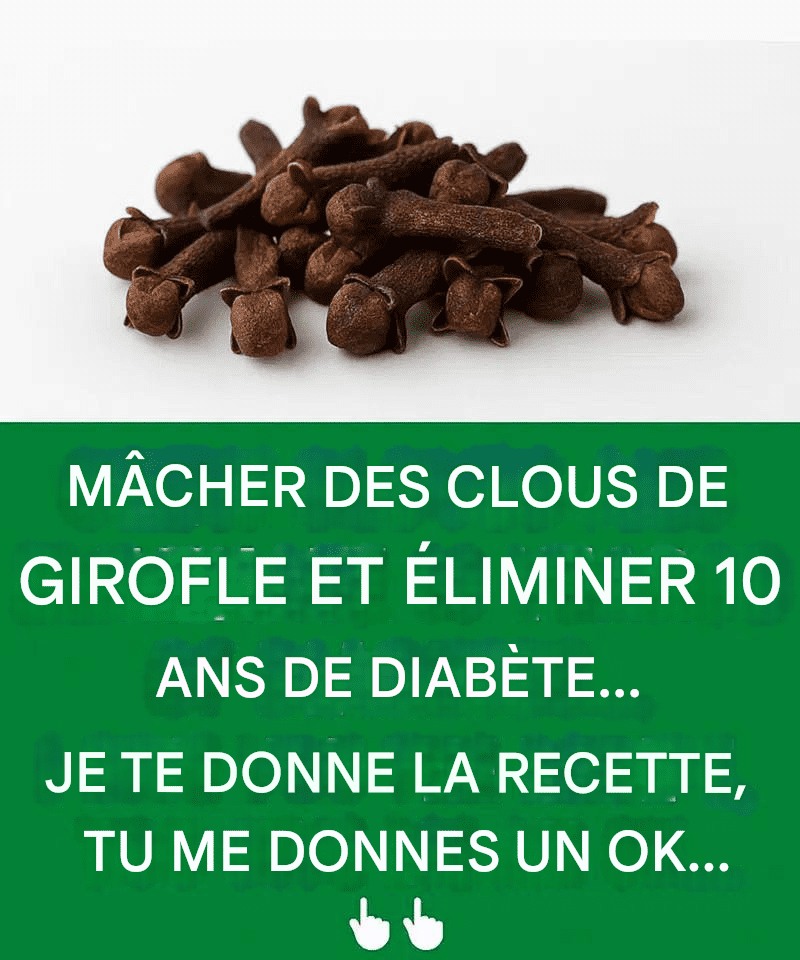 653711624 122105239755042171 2478289009658199878 n (1)