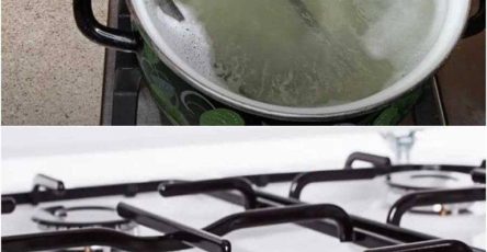 653868661 122177120768614602 7079626429473861607 n