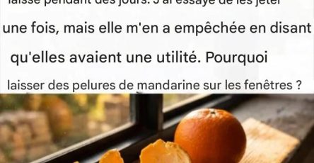 653924642 1497986675053360 4403522207873717934 n