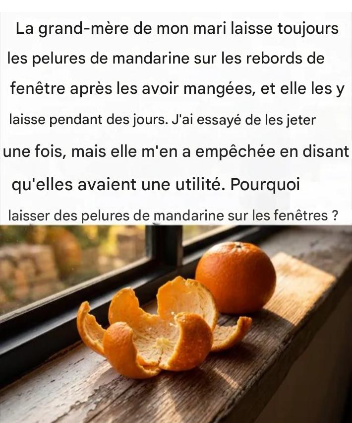 653924642 1497986675053360 4403522207873717934 n