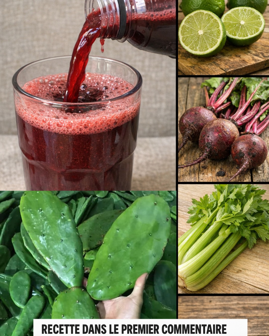 655815596 122117039175176057 1344697197966450719 n