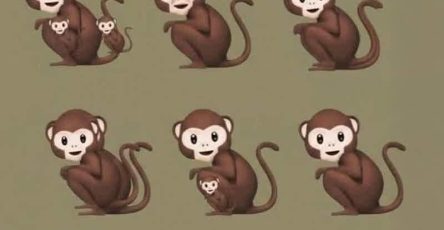 656213395 1500639354788092 2319156316424430451 n