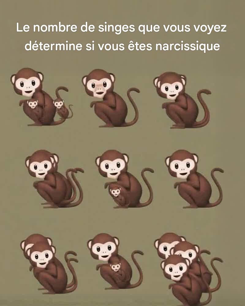 656213395 1500639354788092 2319156316424430451 n