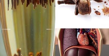 656704926 1490237009373789 2340902004887076671 n