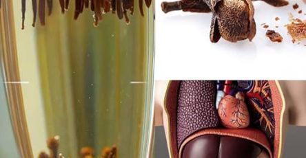 656704926 1490237009373789 2340902004887076671 n