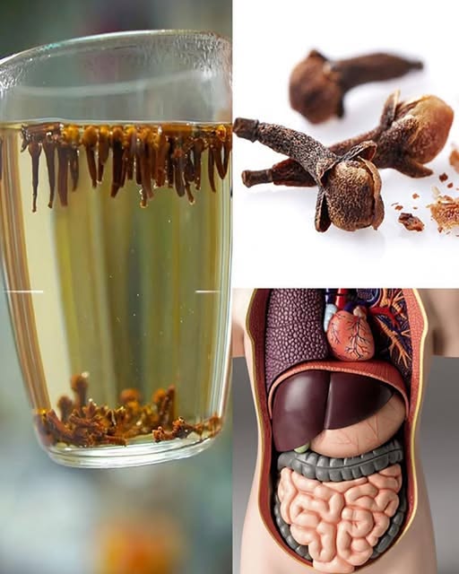 656704926 1490237009373789 2340902004887076671 n