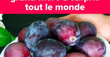 656904750 1480469560465087 9030727875953679454 n