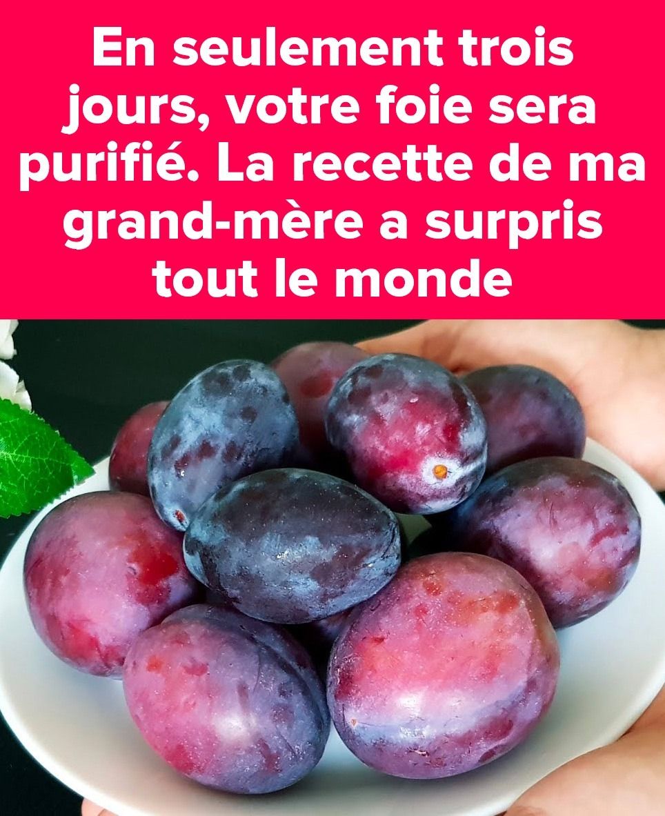 656904750 1480469560465087 9030727875953679454 n