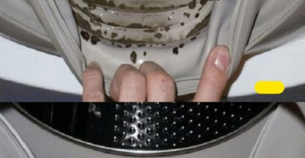 657079900 1276624748005820 5593274948347109098 n