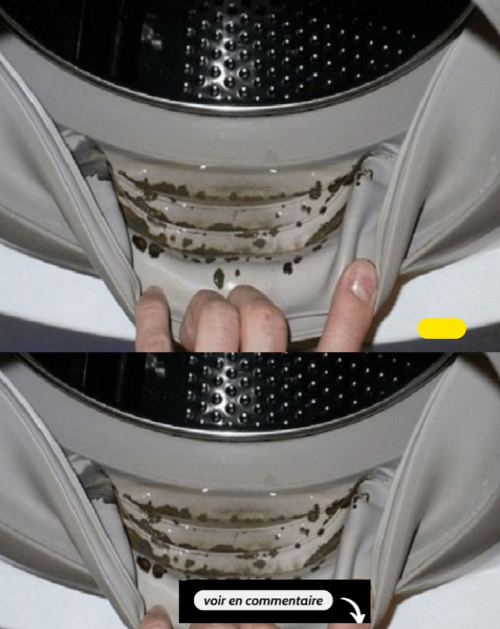 657079900 1276624748005820 5593274948347109098 n