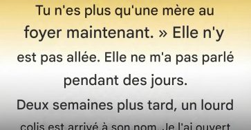 658849499 1503604371158257 8592460508537984873 n