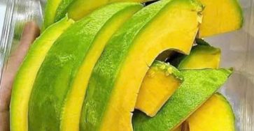 7650f19d f325 4b14 9302 e6a9eb5ed9e0