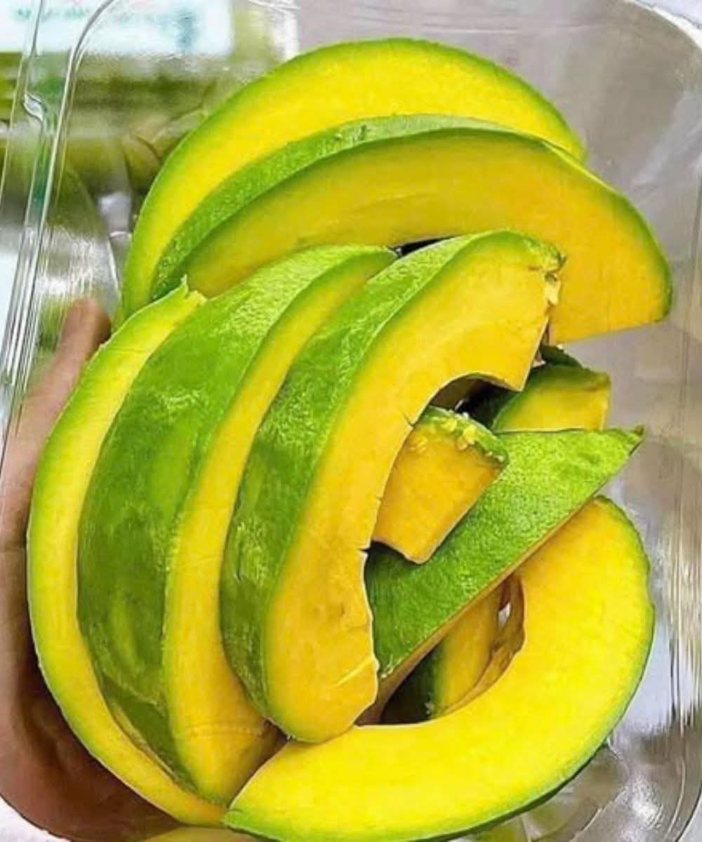 7650f19d f325 4b14 9302 e6a9eb5ed9e0