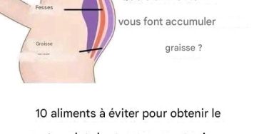 82033bb2 b80d 4dcb bad0 e03e4e49253a 2