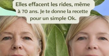 94bff66e 46fe 4fda 91a4 e8229d830156