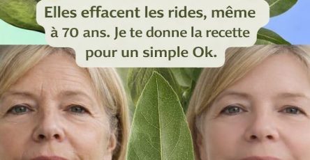 94bff66e 46fe 4fda 91a4 e8229d830156