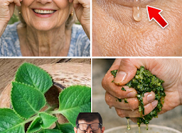 RECETTE COMPLÈTE (35)