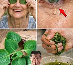 RECETTE COMPLÈTE (35)