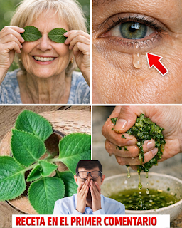 RECETTE COMPLÈTE (35)