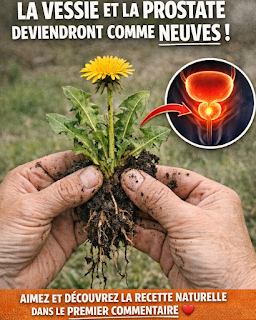 RECETTE COMPLÈTE (47)