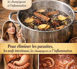 RECETTE COMPLÈTE (54)