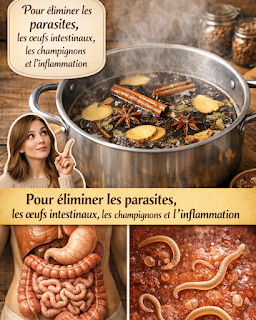 RECETTE COMPLÈTE (54)