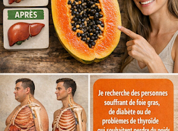 RECETTE COMPLÈTE (57)