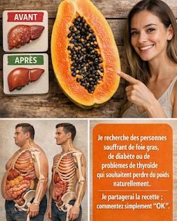 RECETTE COMPLÈTE (57)