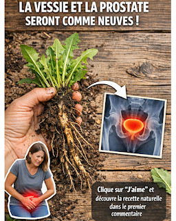 Thiết kế chưa có tên (100)