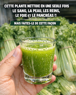 Thiết kế chưa có tên (13)