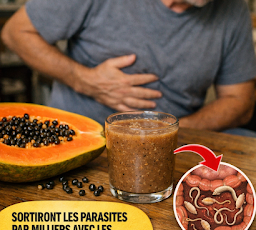 Thiết kế chưa có tên 2026 03 12T152220.714