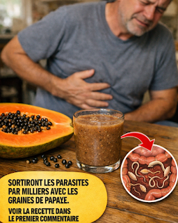 Thiết kế chưa có tên 2026 03 12T152220.714