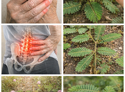 Thiết kế chưa có tên 2026 03 14T092522.785